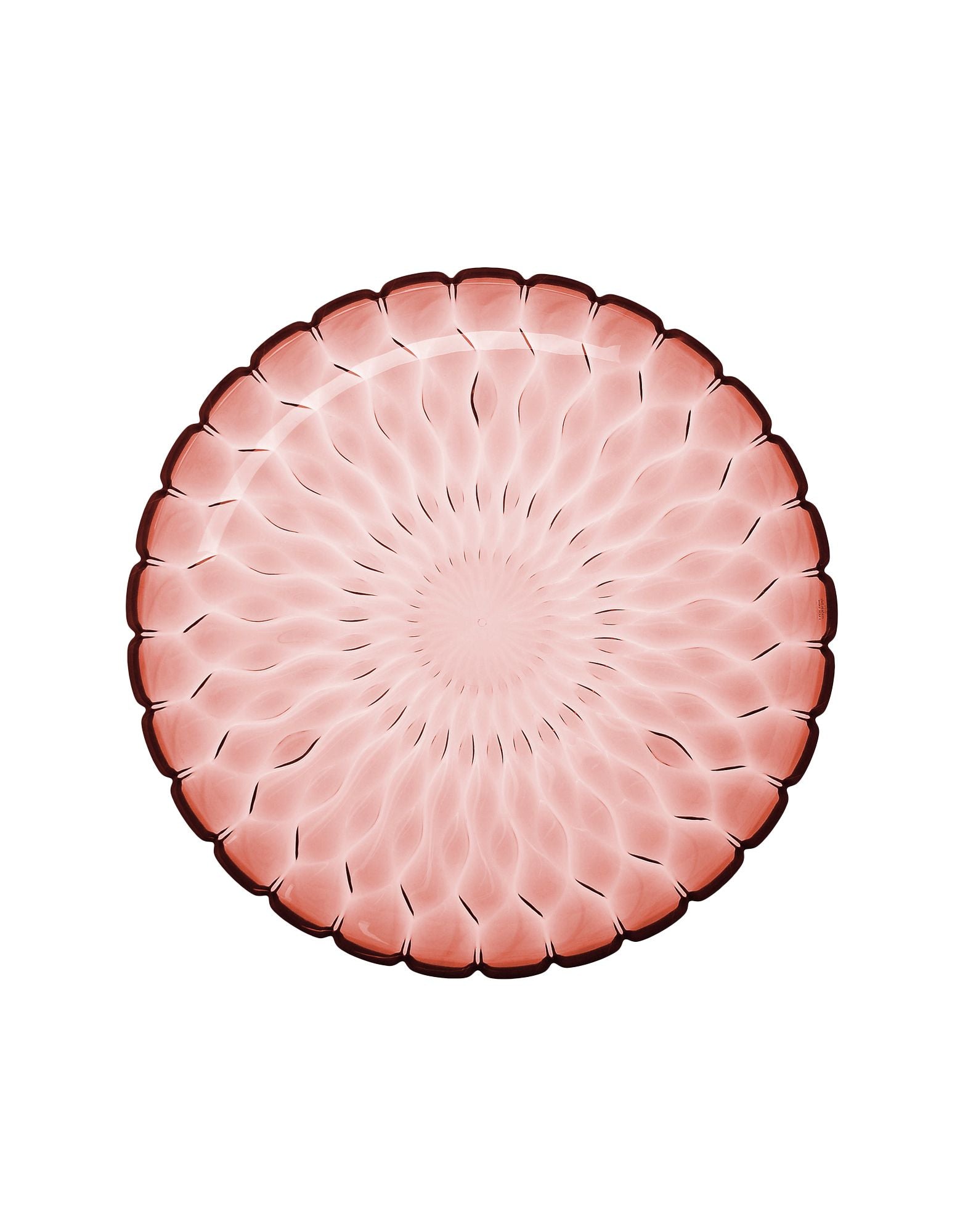 Jelly Centerpiece | Single | Rose