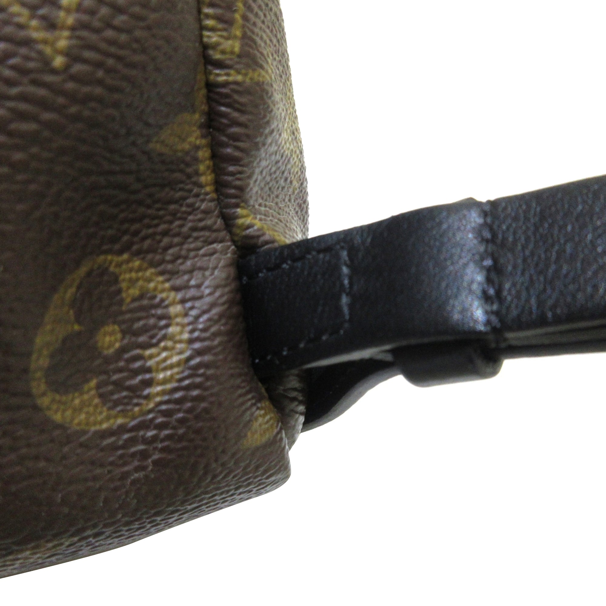 Louis Vuitton Pre-Owned Monogram Reverse Palm Springs PM | Women | Brown