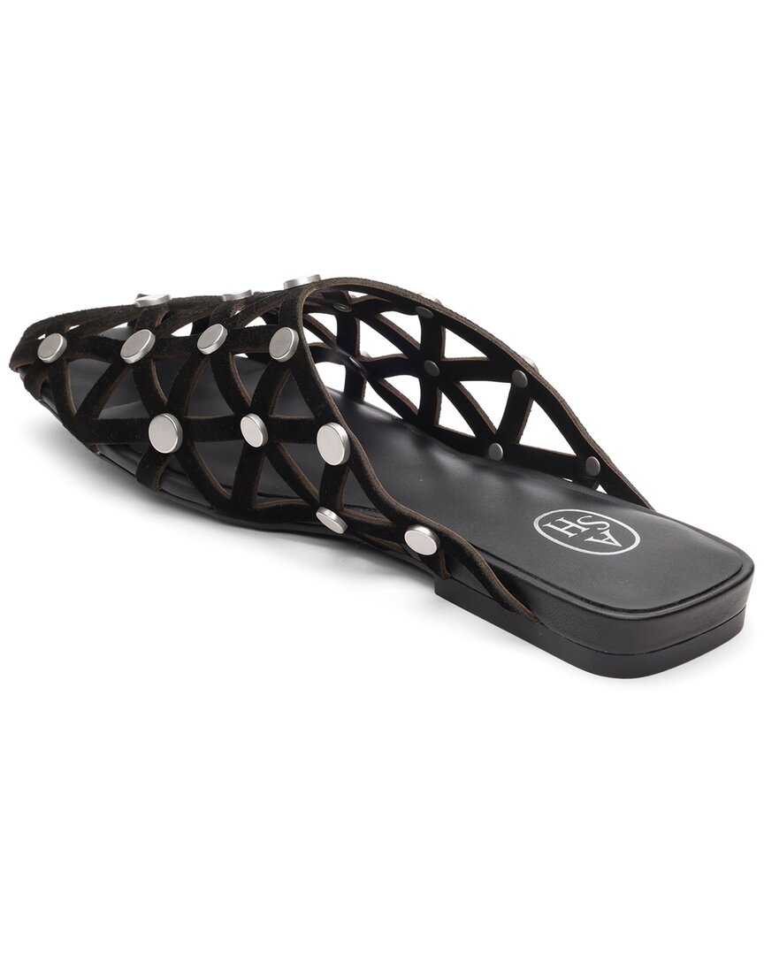 Ash | Womens | Bone Suede Mule | Black