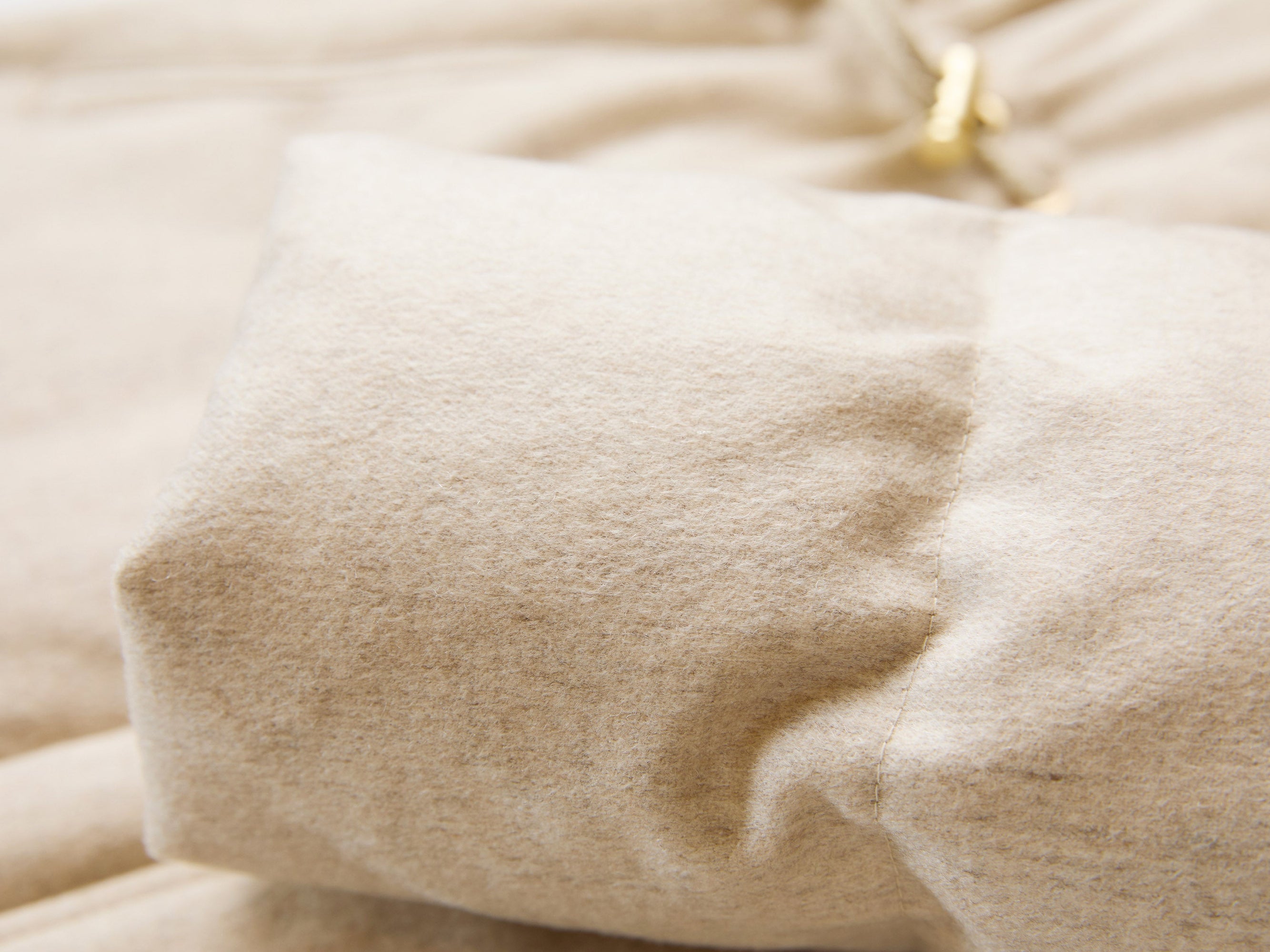 Cashmere Goose Down Long Jacket | Beige