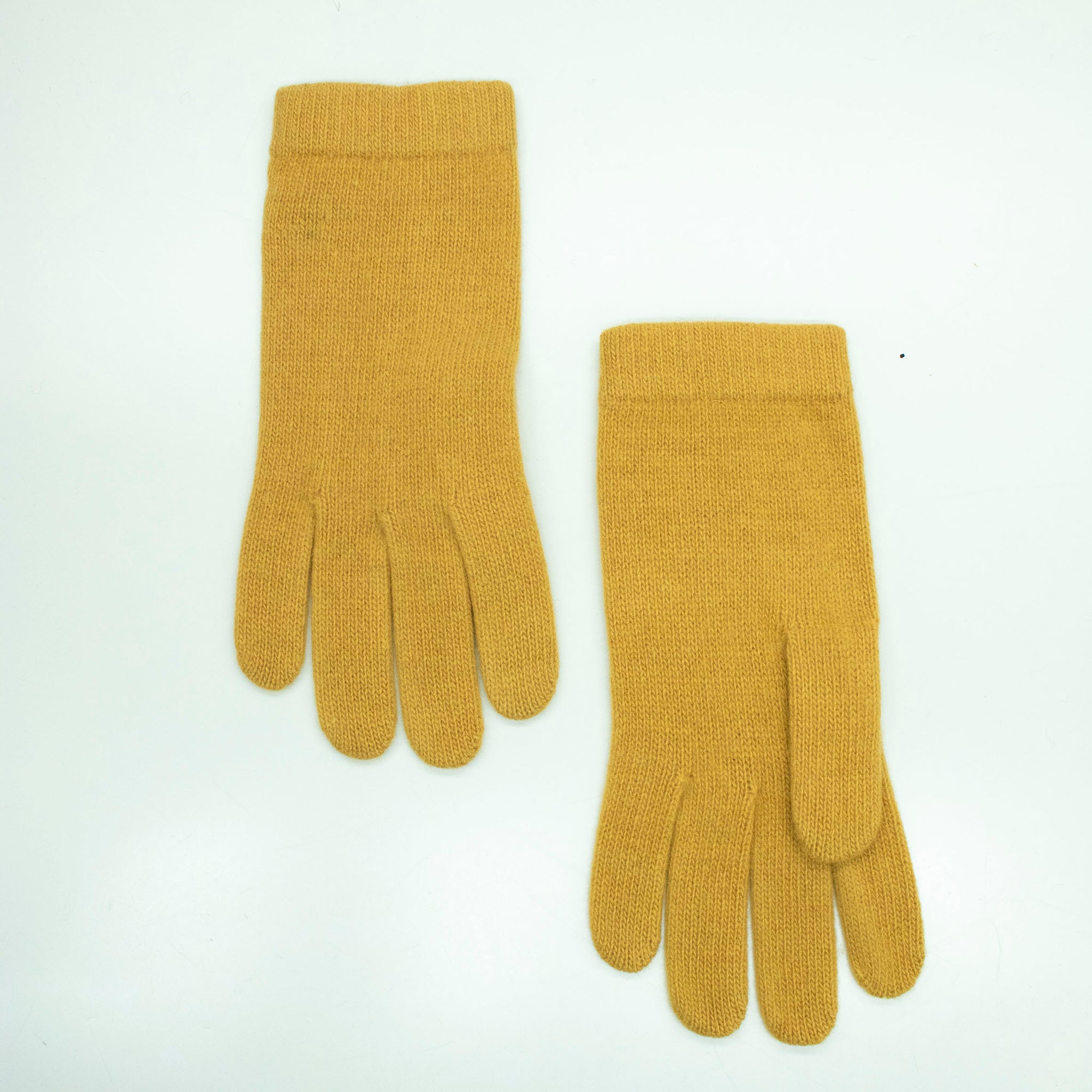 Womens | 9in Cashmere Glove | Cairo Gold