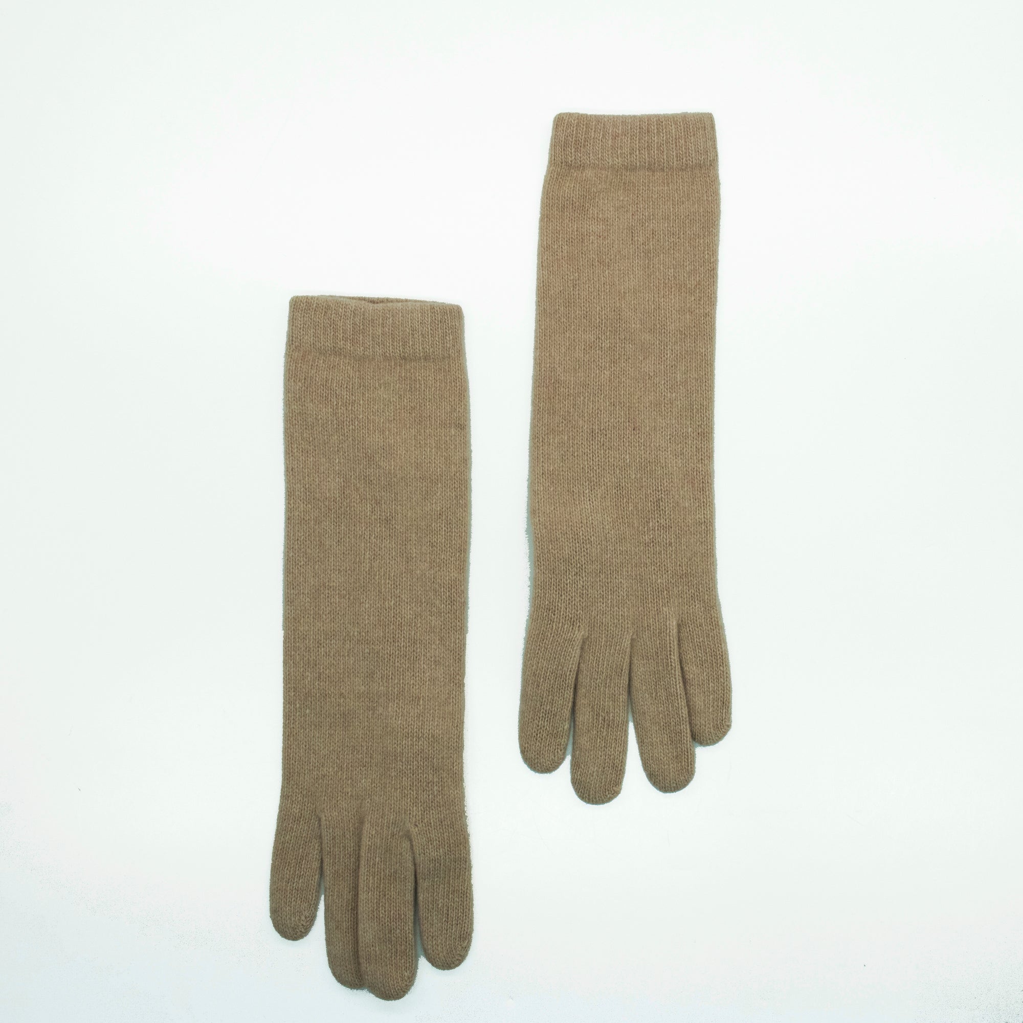 Womens | 13in Cashmere Gloves | Nile Brown