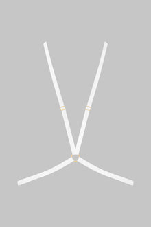 Harness - Signature | Blue