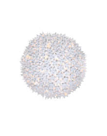 Bloom Round Sconce | Single | White