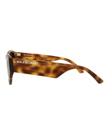 Balenciaga Cat Eye Acetate Sunglasses | Havana