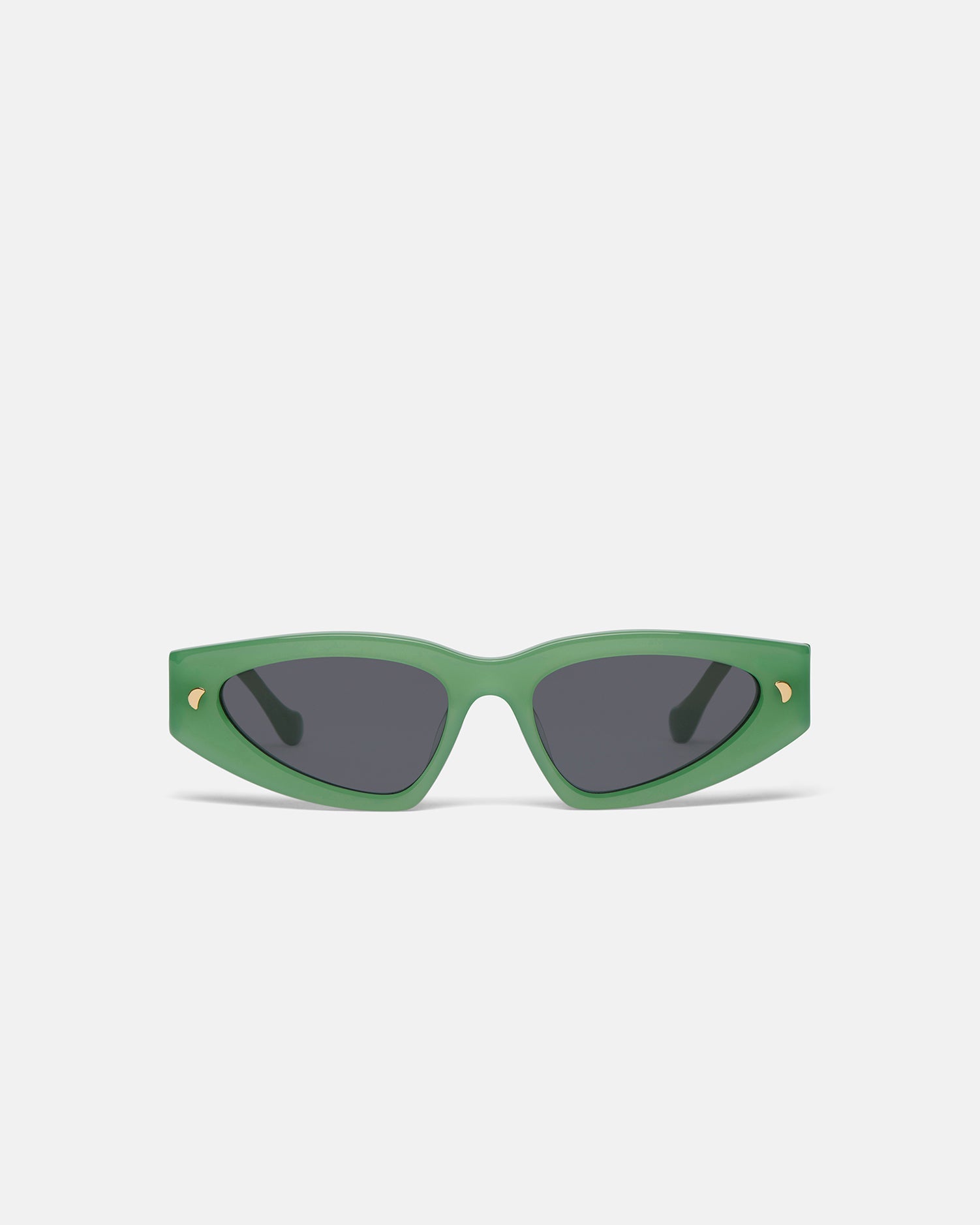 Unisex | Crista Bio-Plastic D-Frame Sunglasses | Green