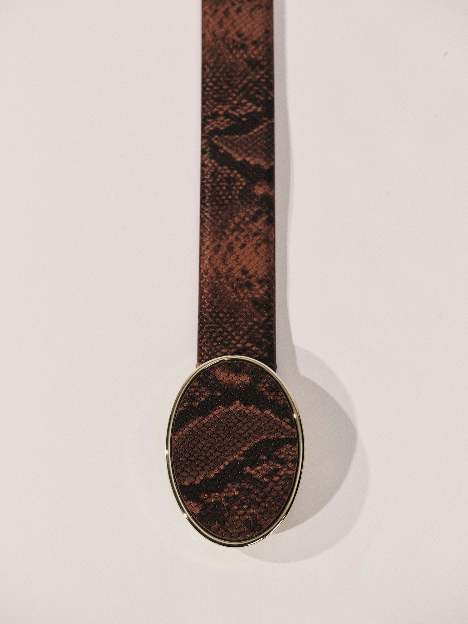 Colette Belt | Brown Python & Pale Gold