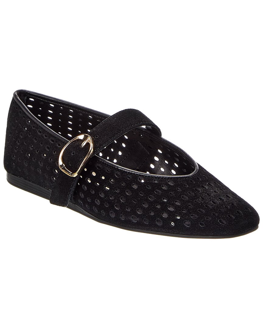 Dolce Vita | Womens | Baila Suede Flat | Onyx