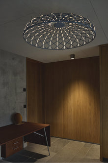 Skynest Ceiling | Anthracite