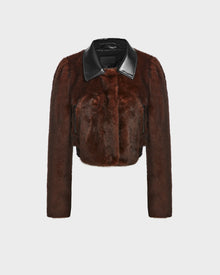 Women | Evelyn - 8124791 | Espresso