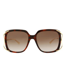 Gucci Oversized Square Acetate Sunglasses | Havana