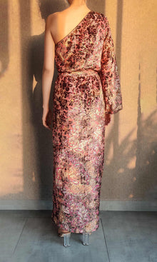 Womens | Vera Velvet Brasso Long Dress | Multicolor