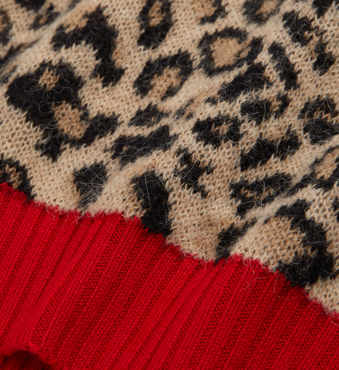 Print Sweater | Men | Leopard