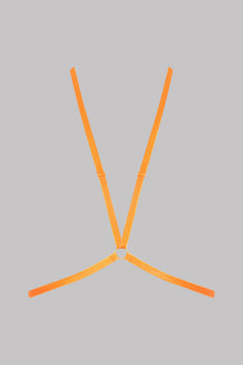 Harness - Signature | Orange