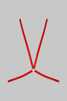 Harness - Signature | Black