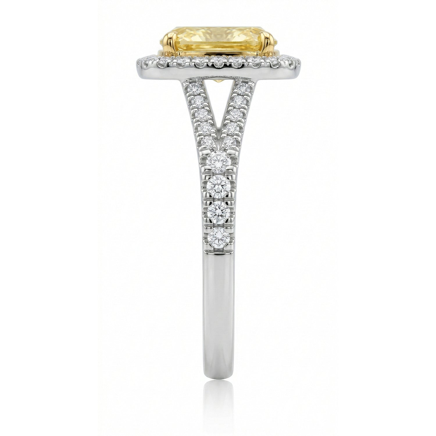 Womens | Halo Split Shant Engagement Ring | 14K Two Tone Gold | 2.50 CTW Long Cushion Cut Lab Grown Diamond | Yellow-VS1