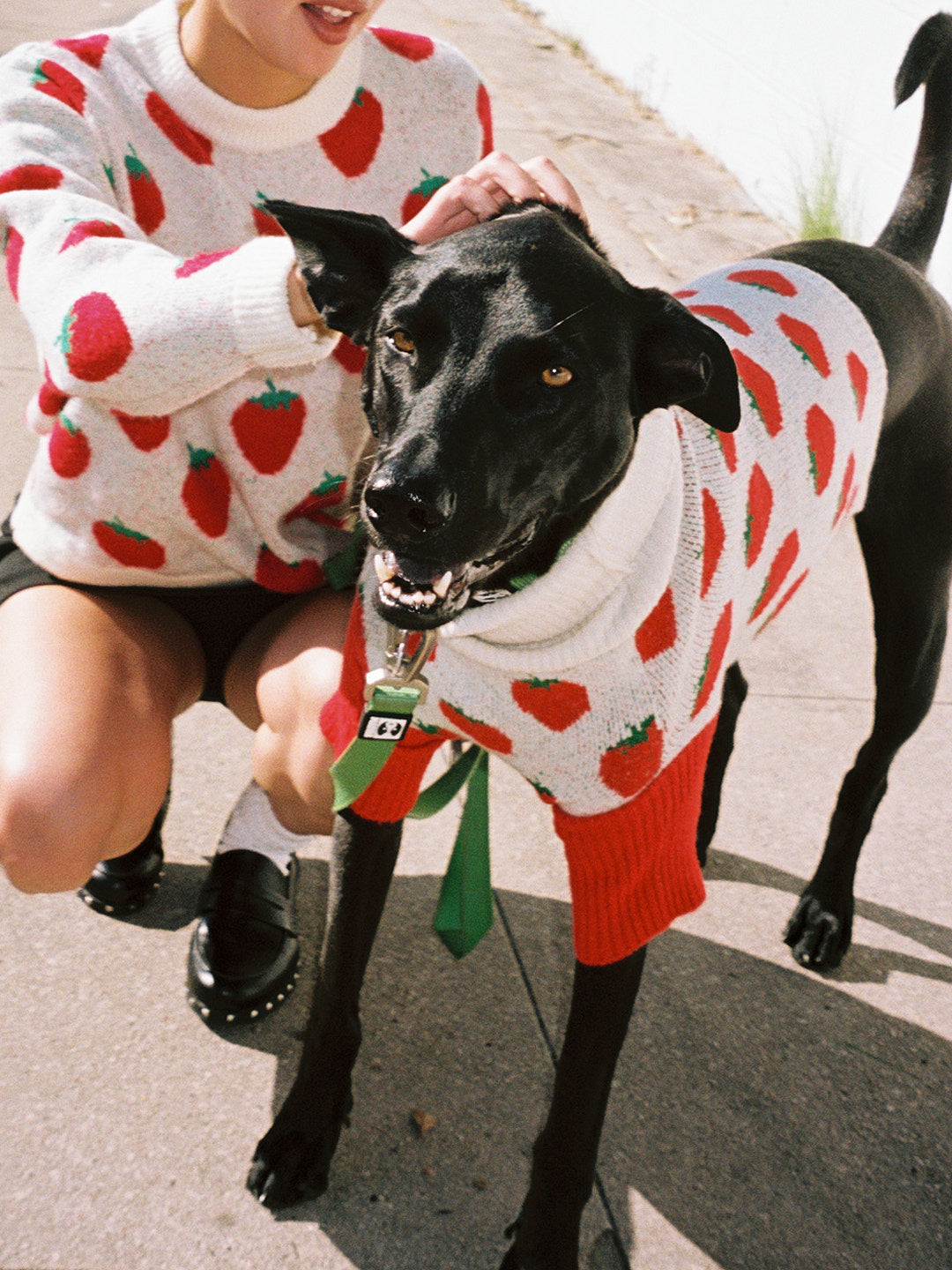 Meet the Parents Sweater | Strawberries