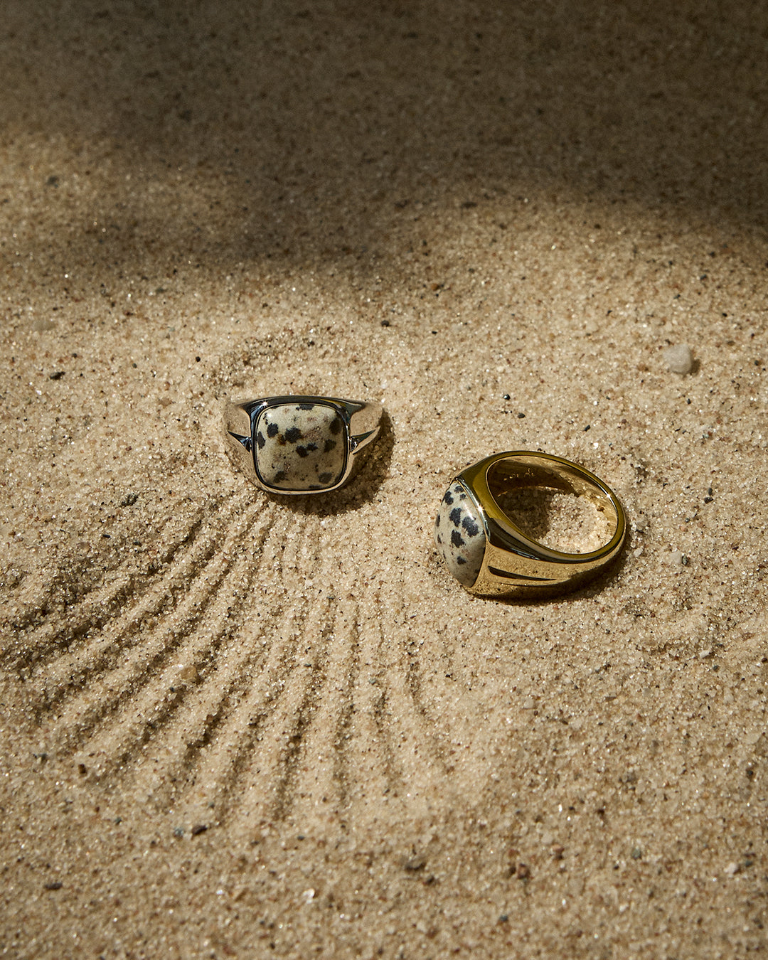 The Palma Signet Ring | Dalmatian Jasper | Gold