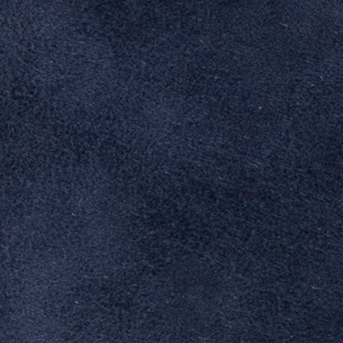 Novia Ballet Flat | Navy Suede