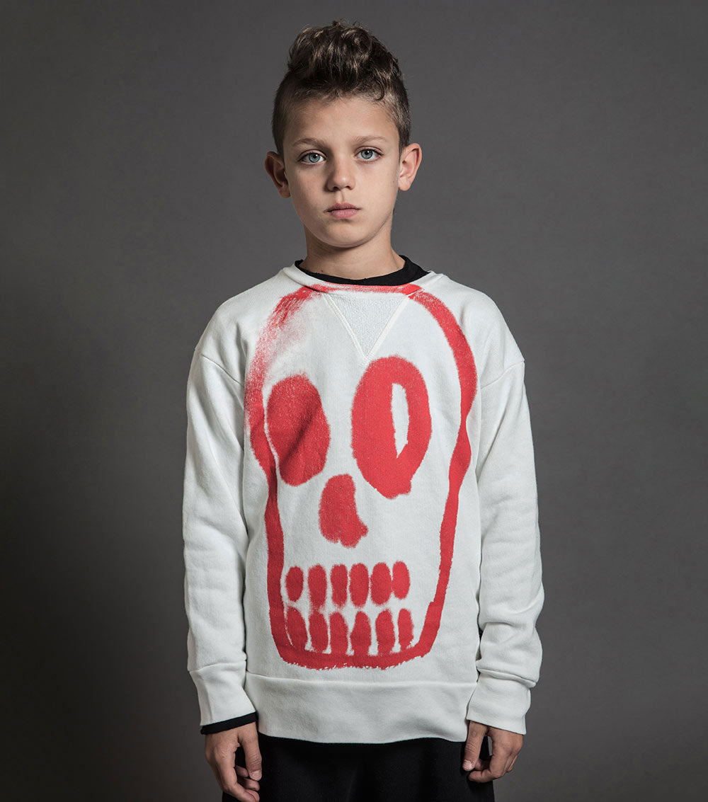 Kid | Painted Dizzy Skull Sweatshirt | Heather Grey