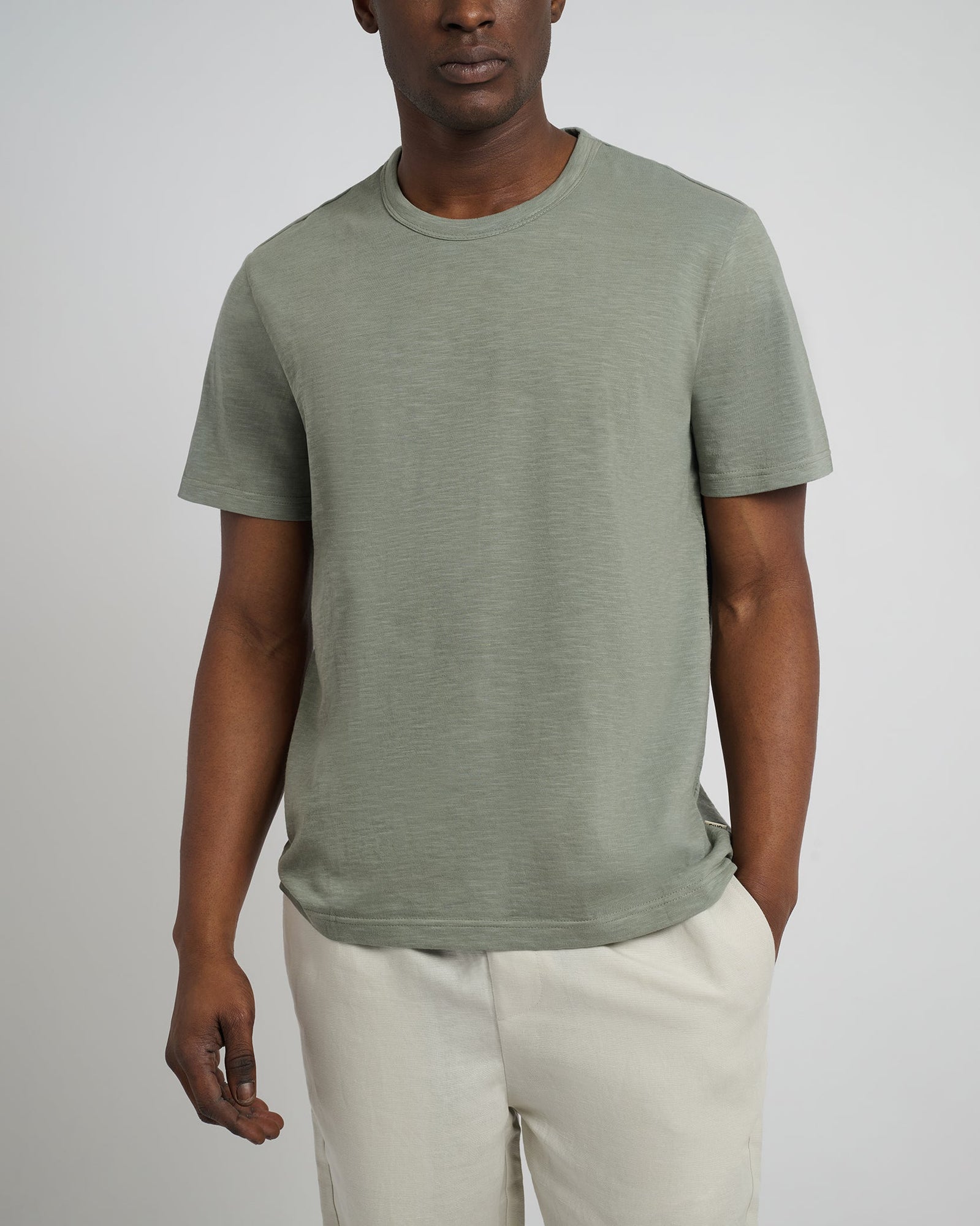 Agave