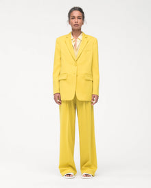 color:bright-chartreuse