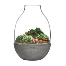 Eden Terrarium With Moulded Concrete Base | Clear Crystal/Conrete