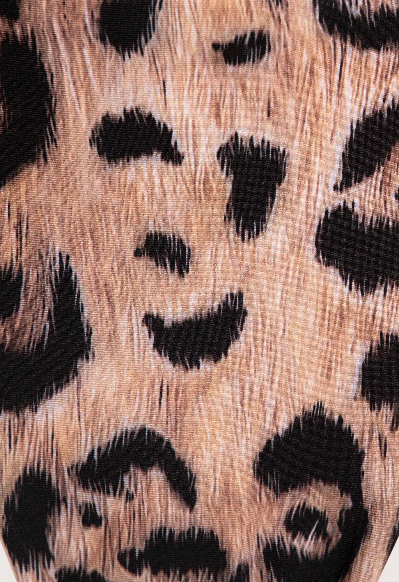 Secreto-Vera-Jaguar-Bikini-bottom-19270-8.jpg