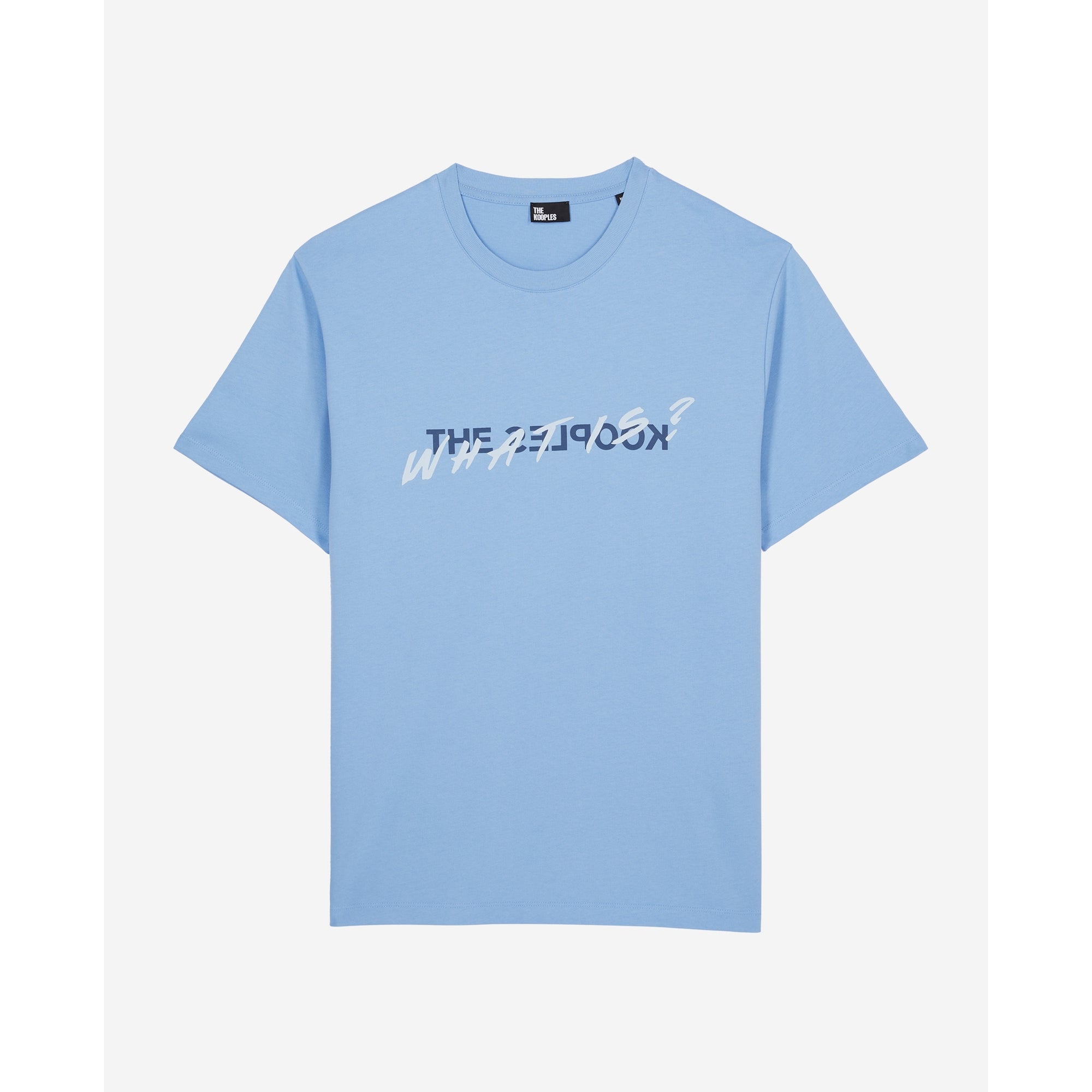 Sky What Is T-Shirt | Men | Steel Blue