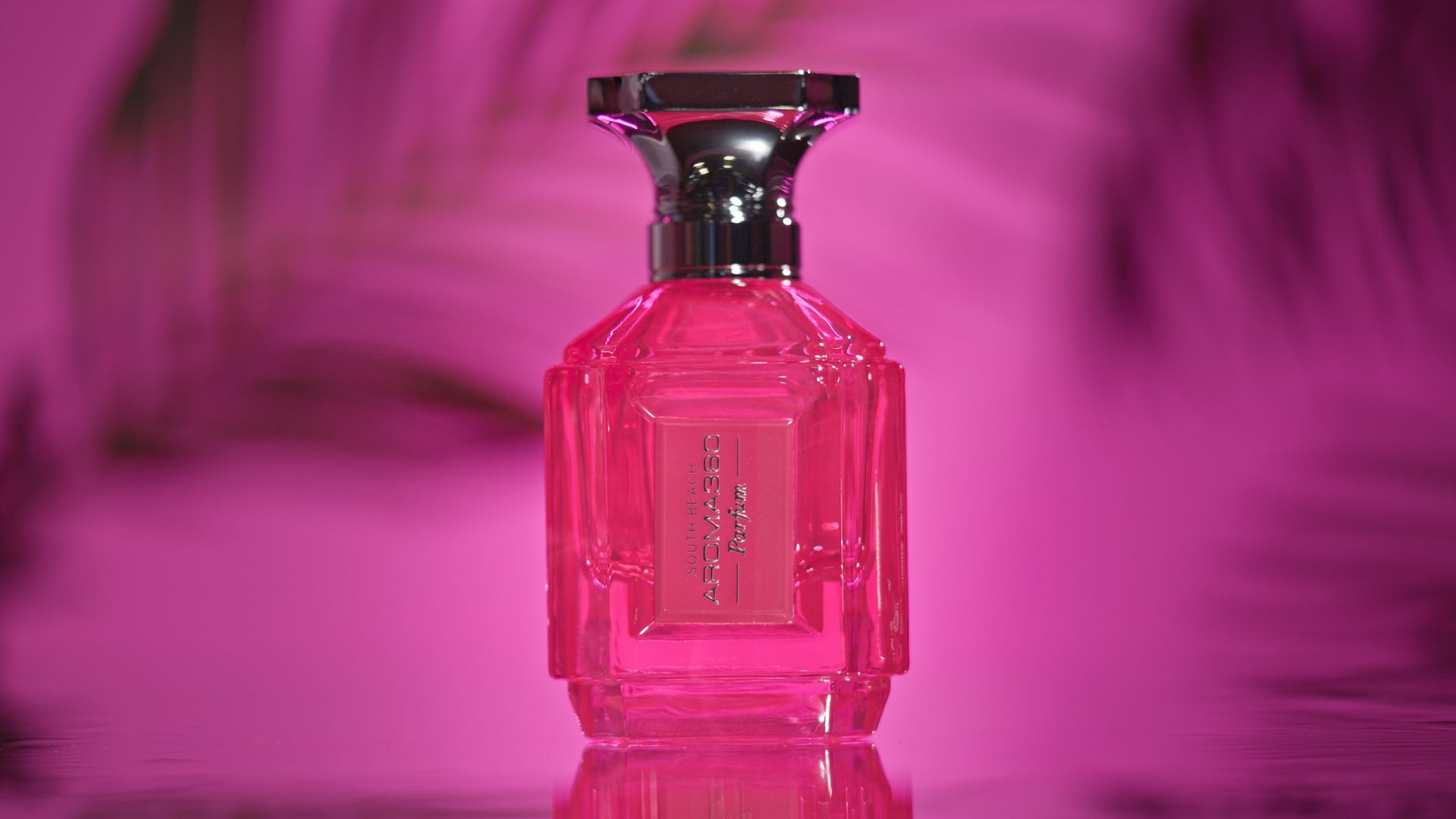 Parfum | South Beach