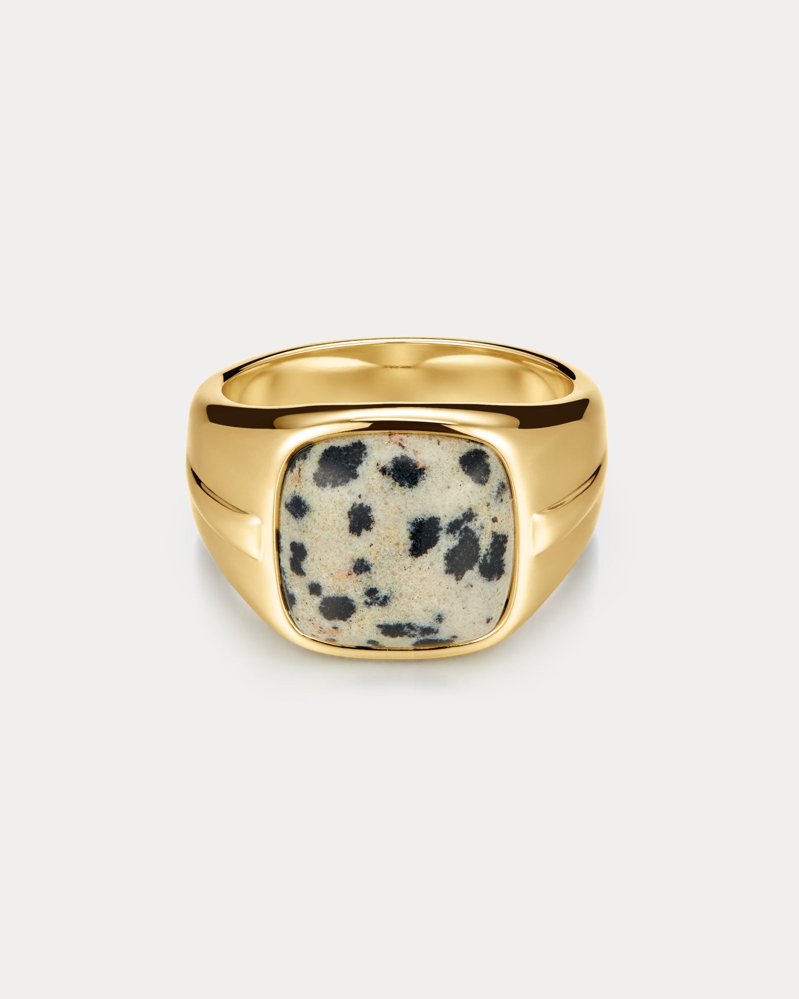 The Palma Signet Ring | Dalmatian Jasper | Gold