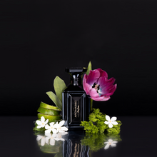 Parfum | Black