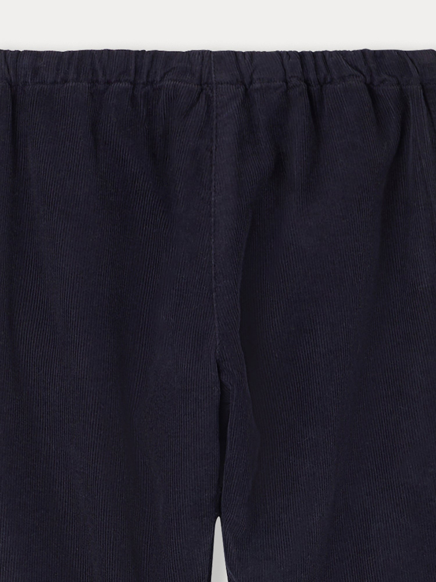 Unisex | Dandy Midnight Blue Velvet Pants | Midnight Blue