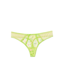 Adore Me Rosa Thong Panty in color Blooming Vines Emb C07 / C7BLMNGVIN and shape thong