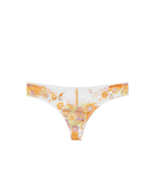 Adore Me Lisette Cheeky Panty in color Bold Bohemian C02 and shape cheeky