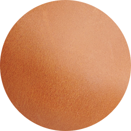 Unisex | Camila Everyday Tote | Caramel