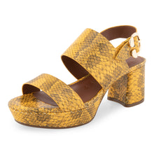 Camera | Mrgld Snk Pnt