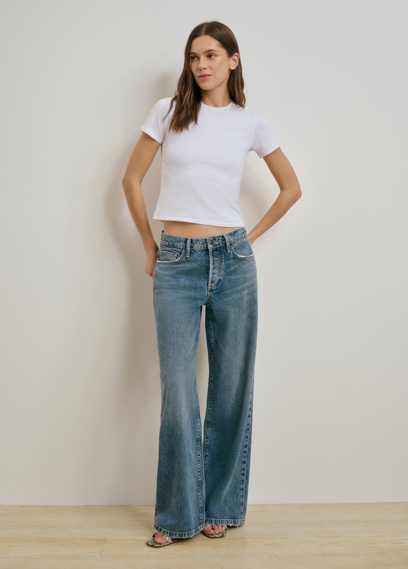 The Ollie Low Rise Ultimate Baggy Wide Leg | Provo