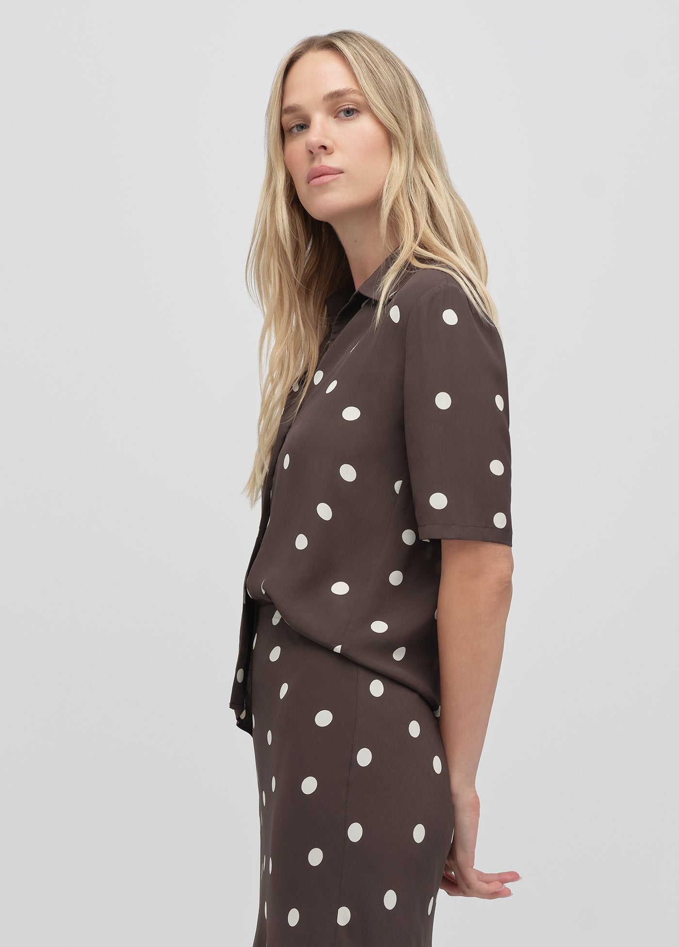espresso polka dot
