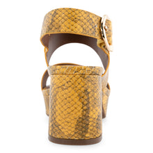 Camera | Mrgld Snk Pnt