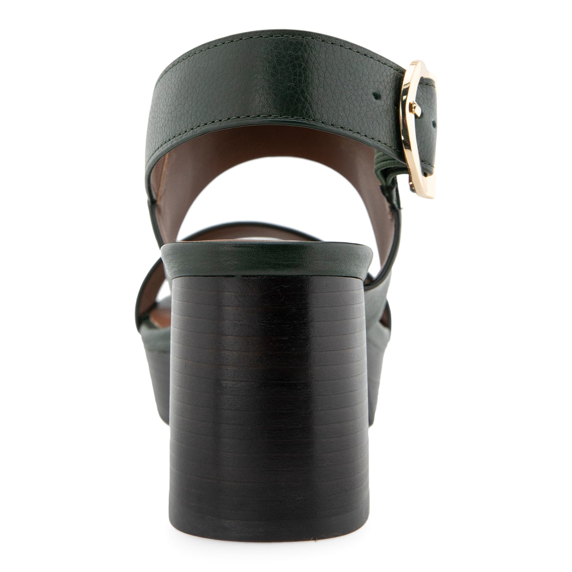 Camera | Fir Green Leather